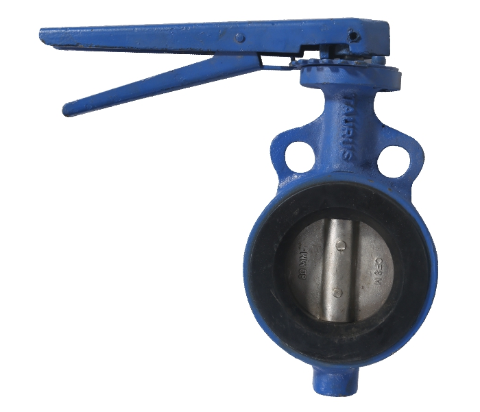 Cast Iron Butterfly Valve