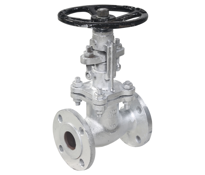 flanged Cast steel Globe Valve