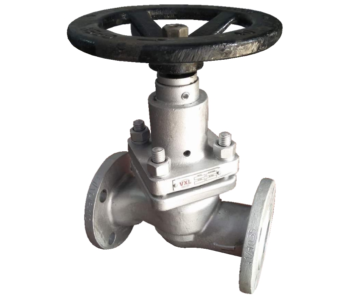 Stainless Steel Flanged end piston Valve