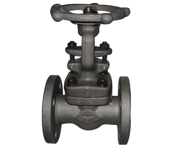 Forged Carbon Steel gate valve